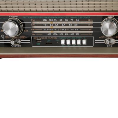 Радиоприемник Ritmix RPR-102 WOOD