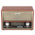 Радиоприемник Ritmix RPR-102 WOOD