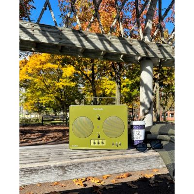 Радиоприемник Tivoli Audio Songbook green (SBGRN)