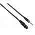 Кабель межблочный XLR-F-Jack Bespeco EASXF300 3 m