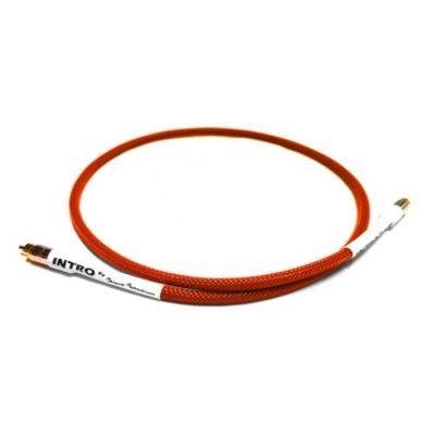 Кабель межблочный аудио Black Rhodium INTRO Digital RCA Orange 1.0 m