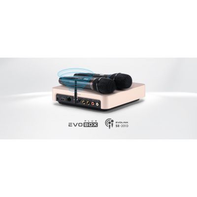 Караоке система Evolution EVOBOX Plus Black