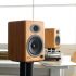 Полочная акустика Audioengine A5+ BT Bamboo