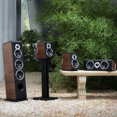 Напольная акустика Sonus Faber Chameleon T Wood