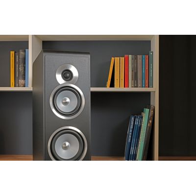 Напольная акустика Sonus Faber Principia 5 (black)