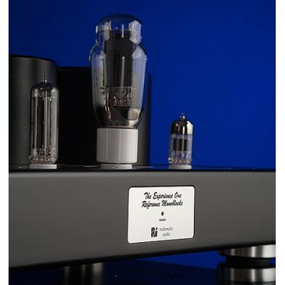 Ламповый усилитель Trafomatic Audio Experience One monoblocks (black/silver plates)