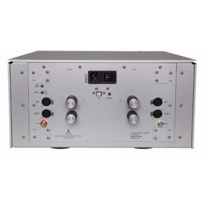 Усилитель мощности Constellation Audio Inspiration Mono 1.0 Silver