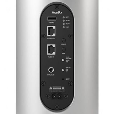 Активная напольная акустическая система Piega Ace 50 wireless RX silver