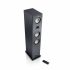 Напольная акустика Canton Smart Townus 8 black high gloss