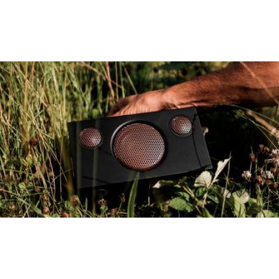 Портативная акустика Audio Pro Addon T3+ Wargenbrant