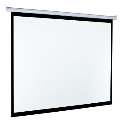 Экран Classic Solution Classic Lyra (4:3) 308x300 (E 300x220/3 MW-M8/W ED)
