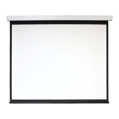 Экран Digis DSEF-4304 (Electra-F, формат 4:3, 120", 248x190, рабочая поверхность 240x180, MW)