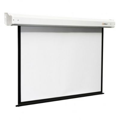Экран Digis DSEM-4303 (Electra, формат 4:3, 94", 150*200, MW)