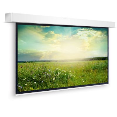 Экран Projecta [10101464] Descender Large Electrol 316x500см Matte White 16:10