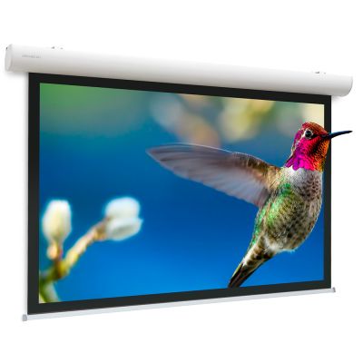 Экран Projecta [10103515] Elpro Concept 128x220 см (95") Matte White