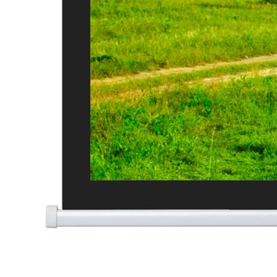 Экран Projecta [10103515] Elpro Concept 128x220 см (95") Matte White