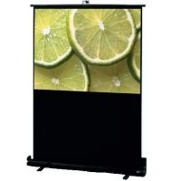 Экран Draper Traveller NTSC (3:4) 127/50" 76*102 MW