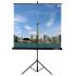 Экран на штативе Lumien [LEV-100104] Eco View 127x127см (раб.область 121х121 см) Matte White
