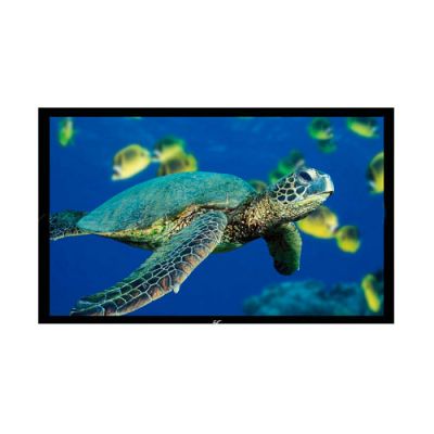 Экран Elite Screens R110WH1