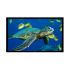 Экран Elite Screens R110WH1