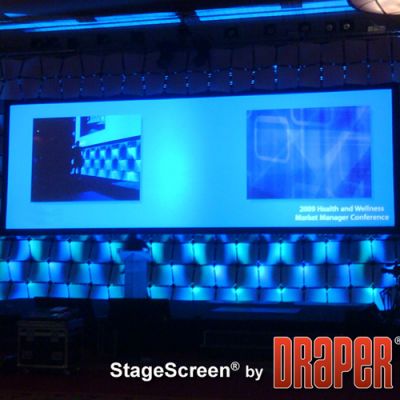 Экран Draper Stagescreen 1049/413" 514*914 BM1300 (black backed)