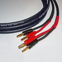 Акустический кабель DH Labs T-14 speaker cable single wire(2x2), locking banana 2,5m