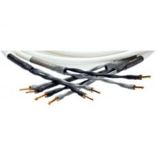 Акустический кабель Silent Wire LS5, 4x1,5 mm2 2x2.5m Bi-Wire
