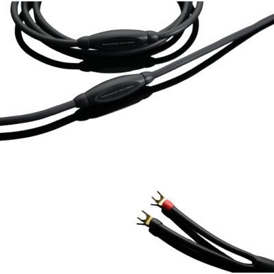 Акустический кабель Transparent MusicWave G6 BIWIRE SC SP > BWSP (3,6 м)