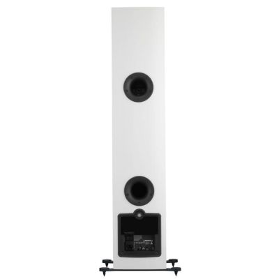 Напольная акустика Dali Rubicon 6 C white high gloss + DALI Sound Hub + BluOS Module