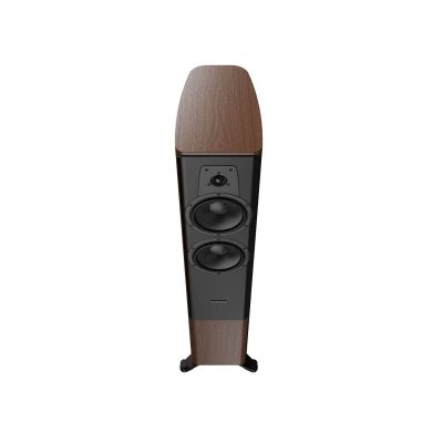 Напольная акустика Dynaudio Contour 30i walnut wood