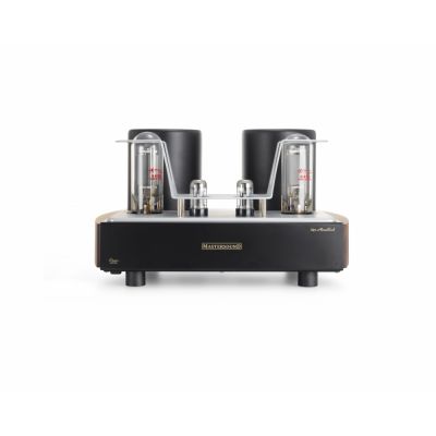 Усилитель мощности Mastersound 845 Monoblock