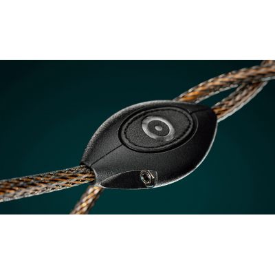 Кабель Ansuz Acoustics Digitalz D-TC2 (USB A-B) 2m