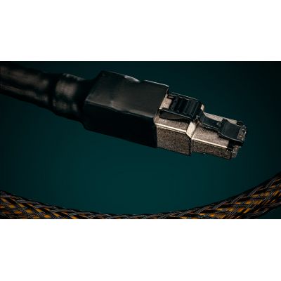 LAN кабель Ansuz Acoustics Digitalz X2 (ETHERNET) 1m