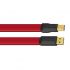 USB кабель Wire World Starlight USB 3.0 A-B 1.0m