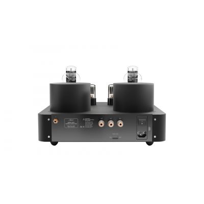 Монофонический усилитель мощности Fezz Audio Mira Ceti 300b Power Amplifier EVO Black Ice