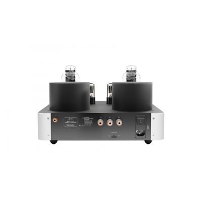 Монофонический усилитель мощности Fezz Audio Mira Ceti 300b Power Amplifier EVO Republika