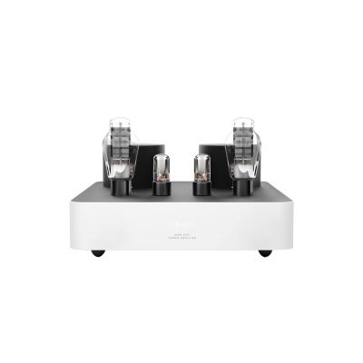 Монофонический усилитель мощности Fezz Audio Mira Ceti 300b Power Amplifier EVO Republika