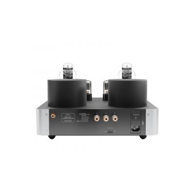 Монофонический усилитель мощности Fezz Audio Mira Ceti 300b Power Amplifier EVO Moonlight