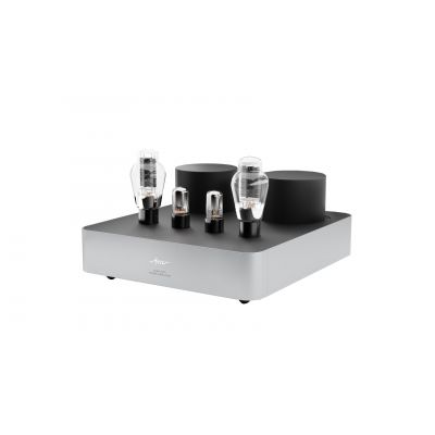 Монофонический усилитель мощности Fezz Audio Mira Ceti 300b Power Amplifier EVO Moonlight