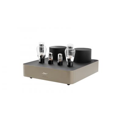 Монофонический усилитель мощности Fezz Audio Mira Ceti 300b Power Amplifier EVO Sunlight