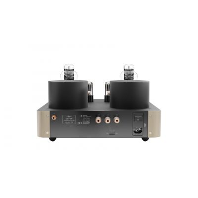 Монофонический усилитель мощности Fezz Audio Mira Ceti 300b Power Amplifier EVO Sunlight