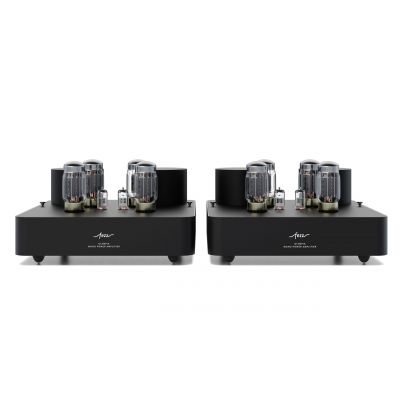 Ламповый усилитель мощности Fezz Audio Olympia Power Amplifier EVO Black Ice