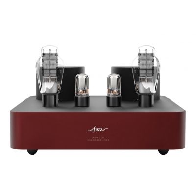 Монофонический усилитель мощности Fezz Audio Mira Ceti 300b Power Amplifier EVO Big Calm