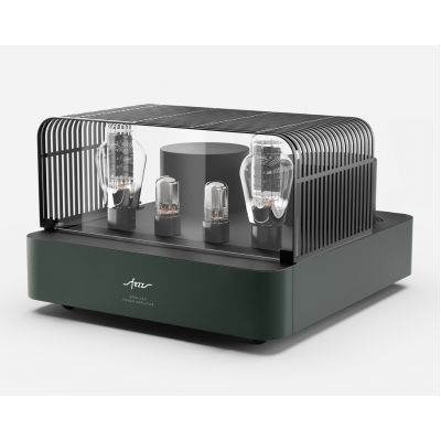 Монофонический усилитель мощности Fezz Audio Mira Ceti 300b Power Amplifier EVO Evergreen