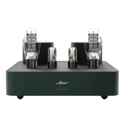 Монофонический усилитель мощности Fezz Audio Mira Ceti 300b Power Amplifier EVO Evergreen