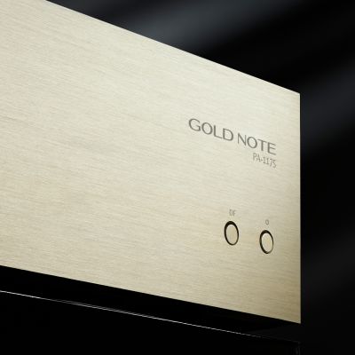 Усилитель мощности Gold Note PA-1175 MkII gold