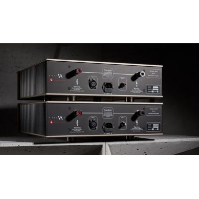 Усилитель мощности Vitus Audio SM-011 mk.I Black