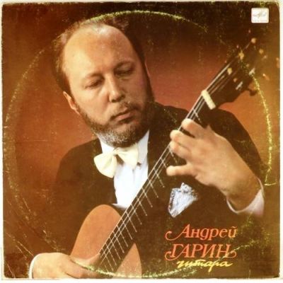 Виниловая пластинка Андрей Гарин гитара