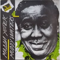 Виниловая пластинка Мадди Уотерс