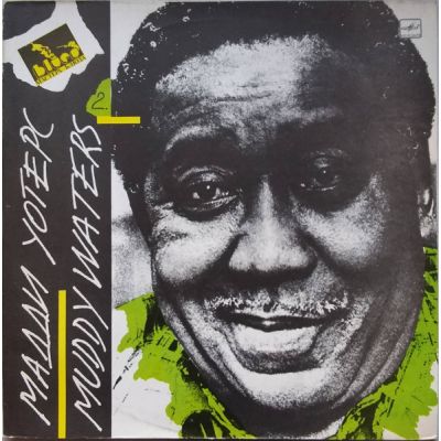 Виниловая пластинка Мадди Уотерс